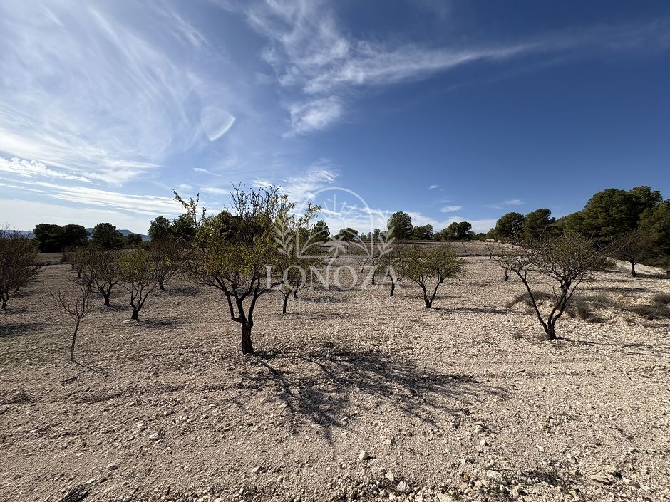Geweldig landhuis met zwembad in Sax