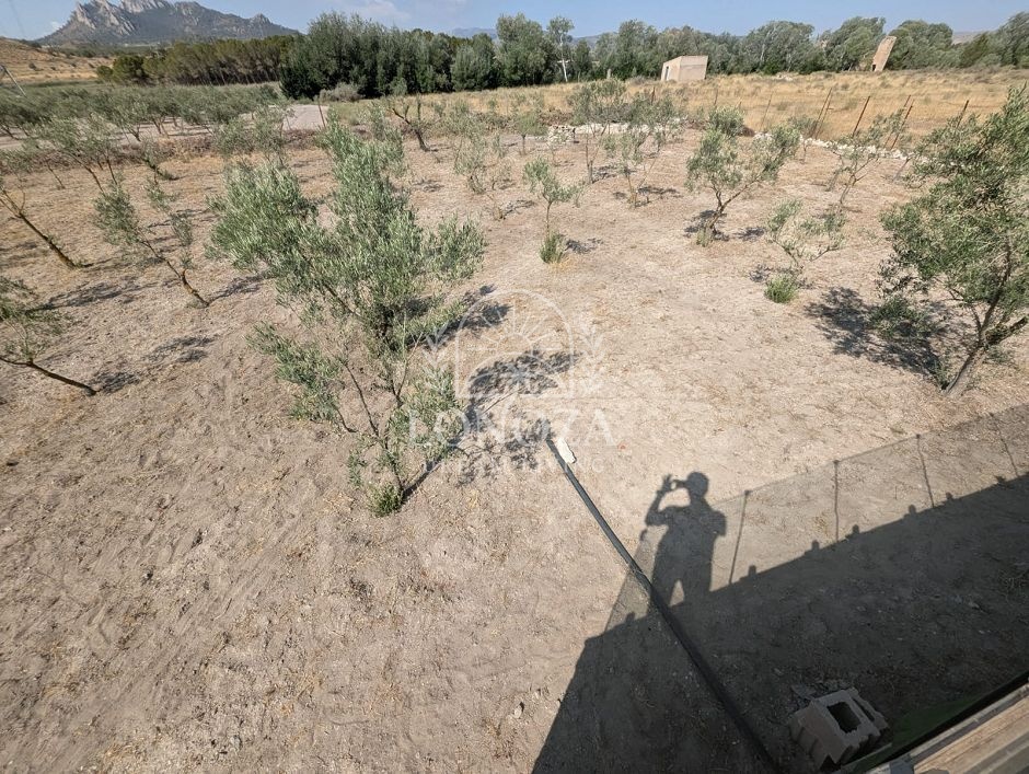 Country House in Sax