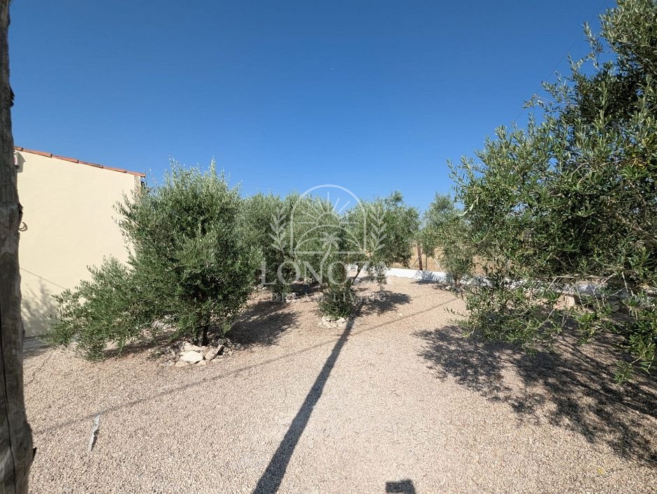 Country House in Sax