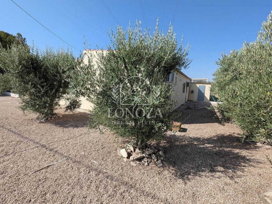 Country House in Sax