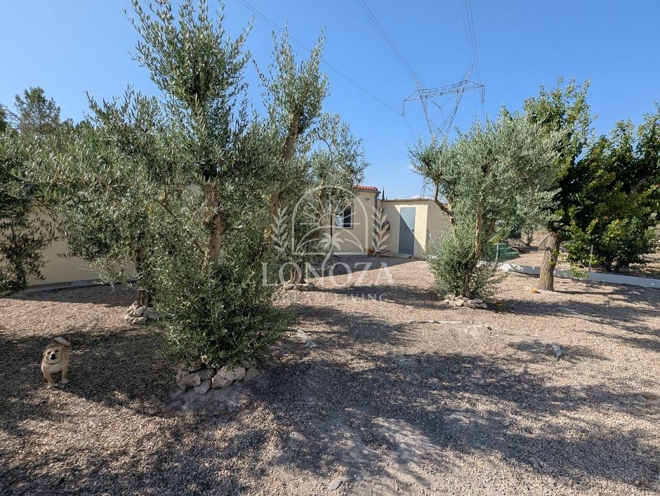 Country House in Sax