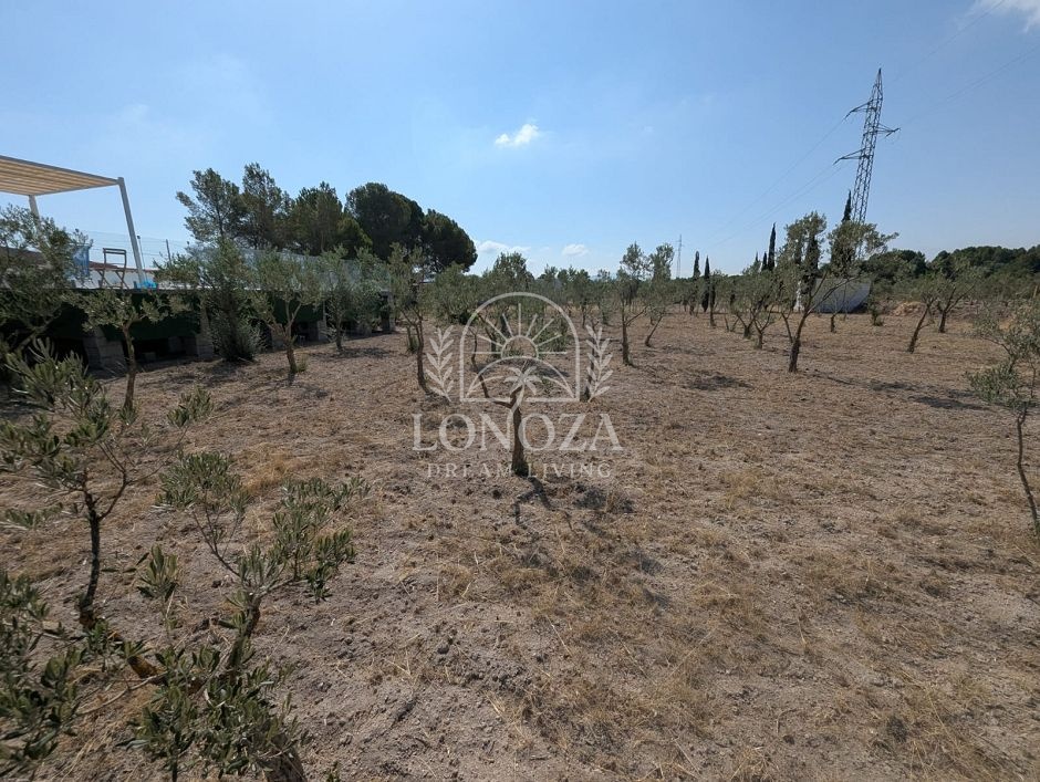 Country House in Sax