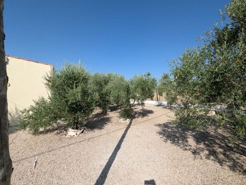 Country House in Sax