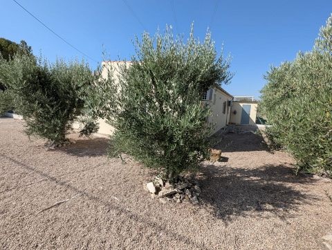 Country House in Sax