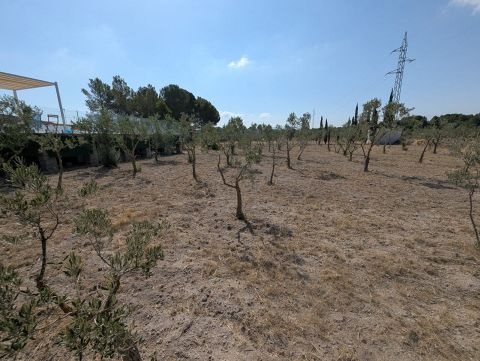 Country House in Sax